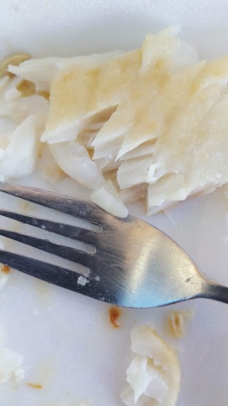 Fishco Cafe - Accommodation Bookings 1