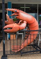 Fishco Cafe - Accommodation Bookings 4