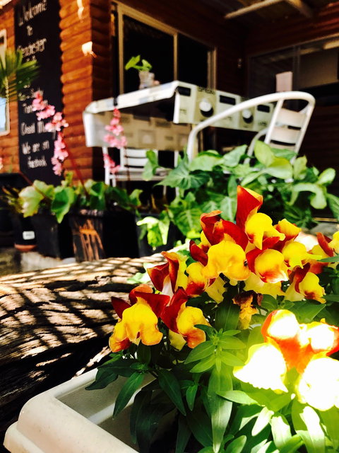 Peachester Cafe - Accommodation Bookings 2