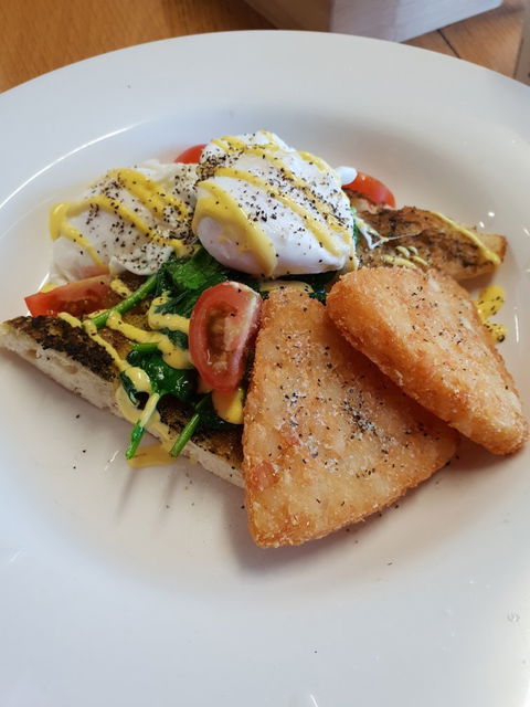The Musical Fence Cafe - Accommodation Bookings 1