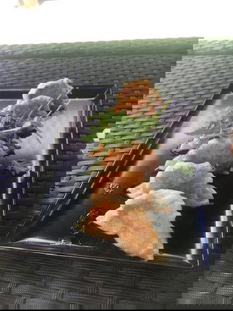 Samford QLD Accommodation Bookings