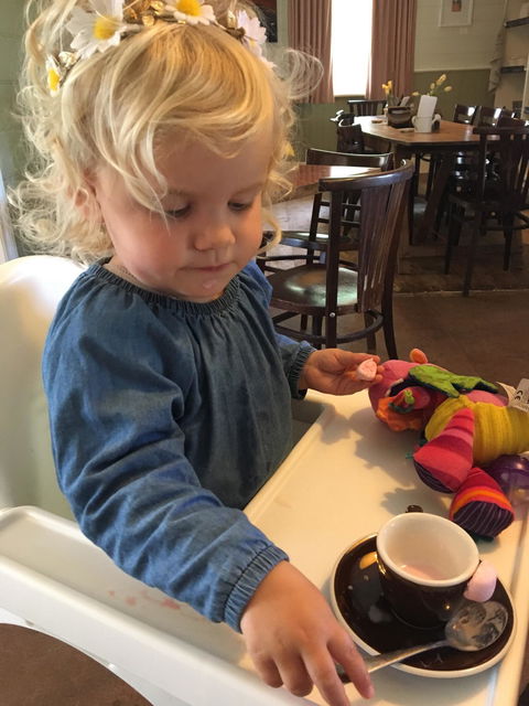 Basalt Vineyard Cafe - Accommodation Bookings 4