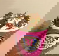 Baskin Robbins Toowoomba - Accommodation Bookings