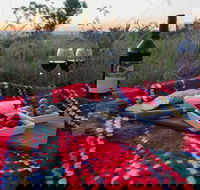 Bunnyconnellen Olive Grove  Vineyard - Accommodation Bookings