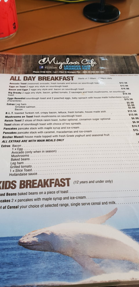 Migaloo's Cafe - Accommodation Bookings 3