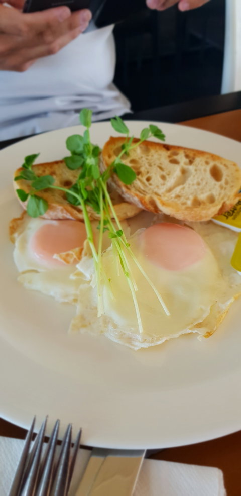 Migaloo's Cafe - Accommodation Bookings 5