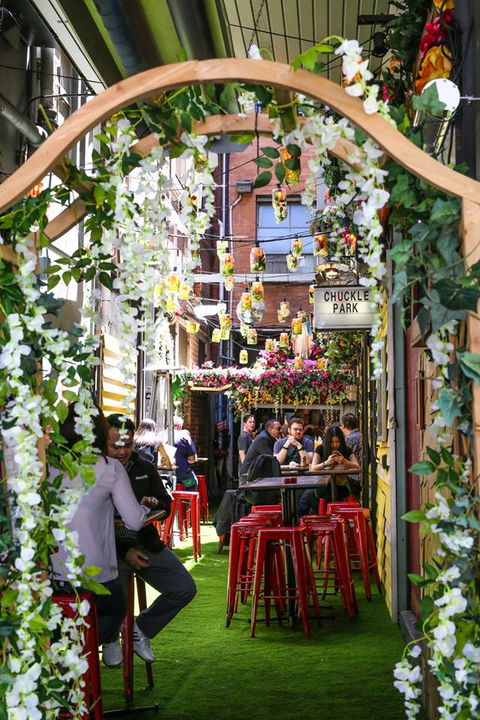 Chuckle Park Bar - Accommodation Bookings 4