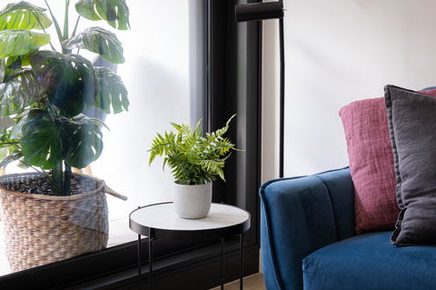 Urban Rest-Home Richmond - Accommodation Bookings 13