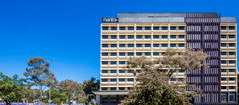 Mantra MacArthur Hotel - Accommodation Bookings 0