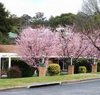 White Lanterns Motel - Accommodation Bookings
