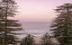 Manly Pacific Mgallery Collection - thumb 2