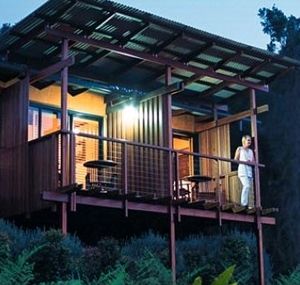 O'Reilly's Rainforest Guesthouse - Accommodation Bookings 1