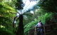 Huon Bush Retreats - thumb 1