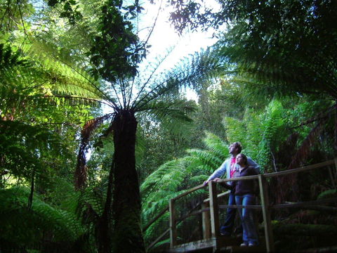 Huon Bush Retreats - Accommodation Bookings 1
