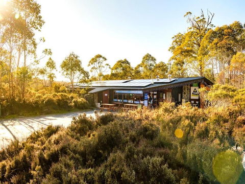 Discovery Parks Cradle Mountain - Accommodation Bookings 1