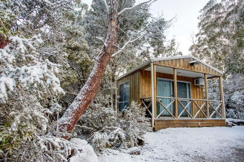 Discovery Parks Cradle Mountain - Accommodation Bookings 2