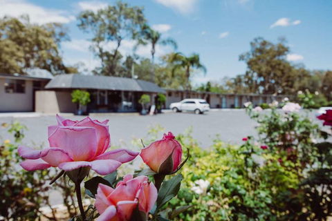 Artesian Spa Motor Inn - Accommodation Bookings 2