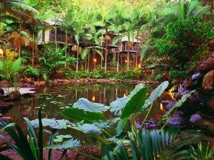 Daintree Eco Lodge & Spa - Accommodation Bookings 0