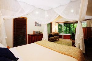 Daintree Eco Lodge & Spa - Accommodation Bookings 1