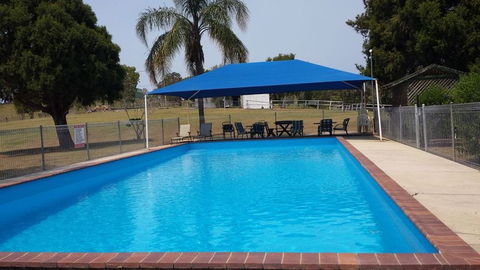 Jacaranda Motor Lodge - Accommodation Bookings 2