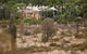 Sails In The Desert Hotel - thumb 3