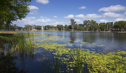 Itara & Jacana Apartments - Accommodation Bookings 2