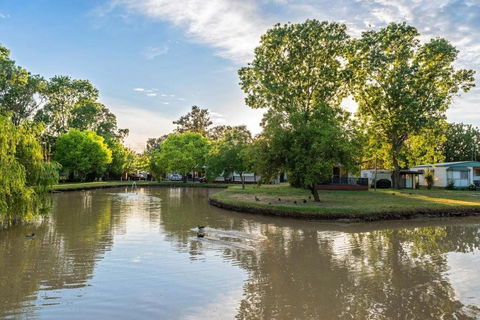Discovery Parks Moama Maidens - Accommodation Bookings 0