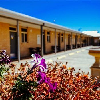 MAS Country Club Motor Inn - Accommodation Bookings 1
