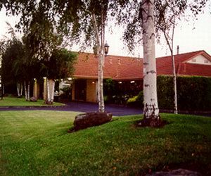 Comfort Inn Silver Birch - Accommodation Bookings 0