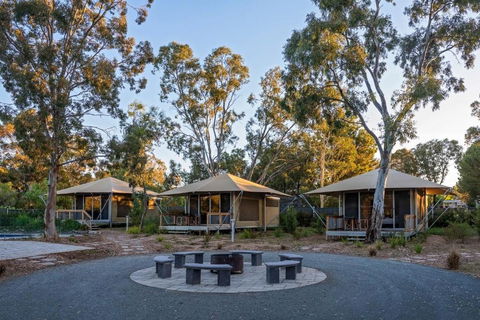 Discovery Parks Barossa Valley - Accommodation Bookings 0