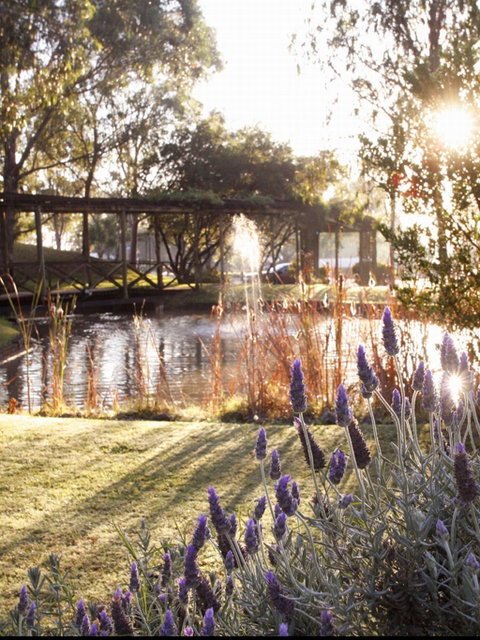 Hunter Valley Resort - Accommodation Bookings 0