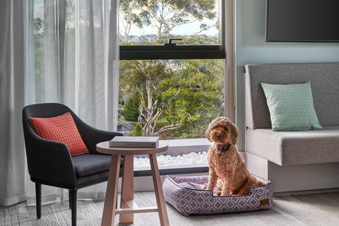 Element Melbourne Richmond - Accommodation Bookings 2