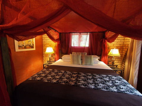 Cedar Park Rainforest Resort - Accommodation Bookings 2