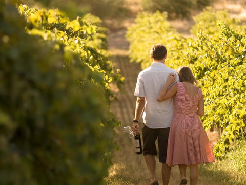 Novotel Barossa Valley Resort - Accommodation Bookings 1