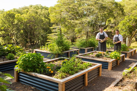 Spicers Tamarind  Retreat - Accommodation Bookings 1