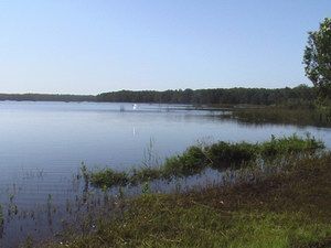 Cabarita Lake Apartments - Accommodation Bookings 2