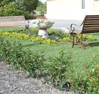 SureStay by BW The Clarence on Melville - Accommodation Bookings