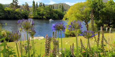 Woodbridge On The Derwent - Accommodation Bookings 3