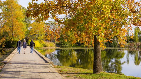 Crowne Plaza Canberra - Accommodation Bookings 17