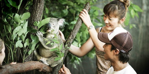 Pullman Reef Hotel Casino - Accommodation Bookings 14