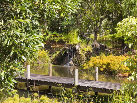 Cedar Park Rainforest Resort - Accommodation Bookings 0