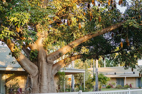 Kimberley Grande Resort & Conf Ctr - Accommodation Bookings 0