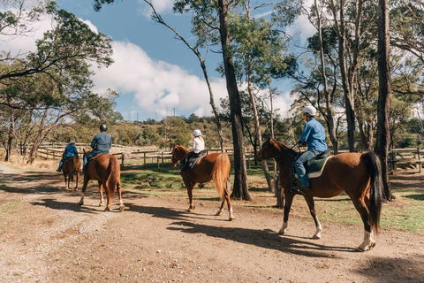 Country Club Villas - Accommodation Bookings 0