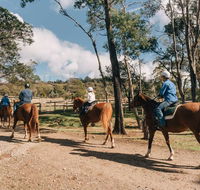 Country Club Tasmania - Accommodation Bookings