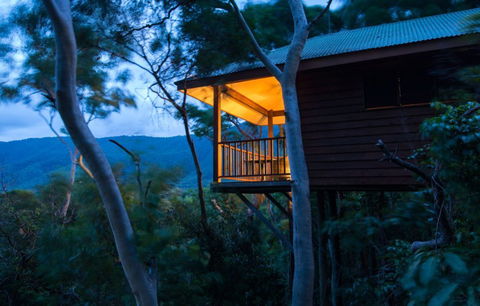 Thala Beach Nature Reserve - Accommodation Bookings 0