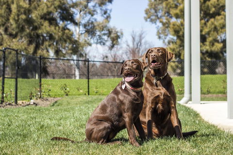 Abode Narrabundah - Accommodation Bookings 21
