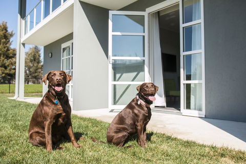 Abode Narrabundah - Accommodation Bookings 20