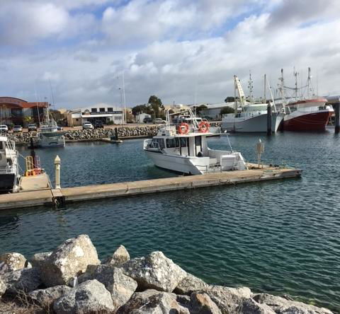 Port Lincoln Shark Apartment 1 - Accommodation Bookings 14