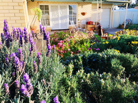 Beautiful Garden House - Accommodation Bookings 9