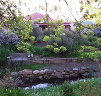 Frog Song at Willunga - Accommodation Bookings
